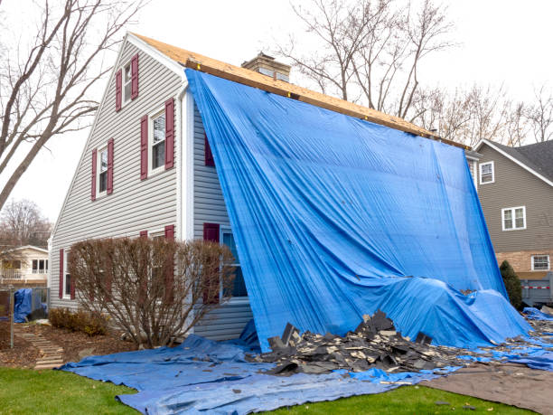Best Shed Removal  in Ottumwa, IA